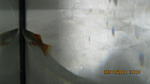 IMG 0788