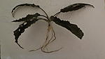 IMG 6150[1]