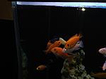 IMG 0753[1]