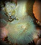 DSCN5410