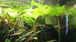 IMG 6139[1]