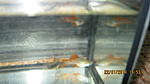 IMG 0779