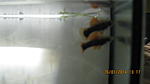 IMG 0786