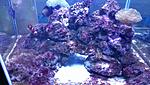 IMAG0045