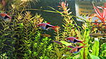 IMG 6119