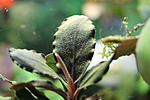 IMG 4359