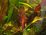DSC00170
