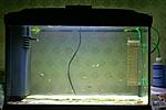 photo 005
