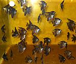 DSCN0835