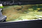 photo 014