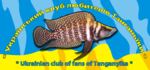 test 4