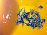 IMG 0971[1]