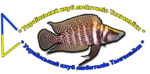 test 2