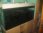 IMG 5876
