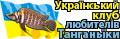 test 08