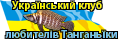 test 06