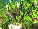 IMG 3789[1]