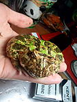 IMG 20131219 154426