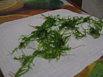 IMG 4657