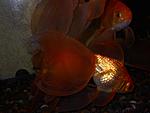 DSCN0313