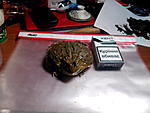 IMG 20131219 154010