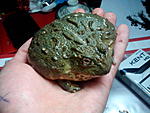 IMG 20131219 154045