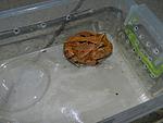 DSCN9343