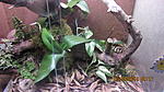 IMG 8875