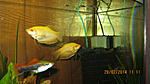 IMG 0794