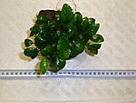 P3010329