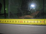 IMG 9490