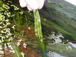 P3090027