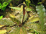 IMG 3798[1]