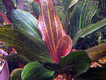 IMG 0840