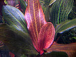 IMG 0844