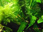 DSCN0907