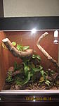 IMG 8870