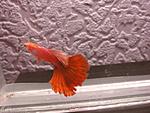 DSC04540