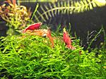 DSCF0510