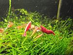 DSCF0514