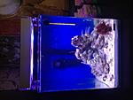 IMG 4415[1]