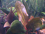 IMG 0809