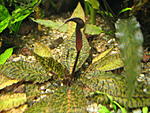 IMG 3797[1]