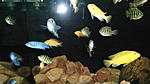 DSC01759