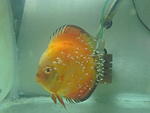 IMG 5171