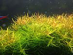 IMG 0705 (2)