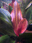 IMG 0845