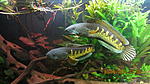 IMG 9061[1]