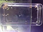IMG 1073[1]