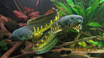 IMG 9058[1]